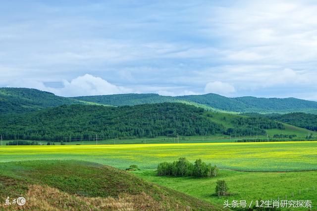 25号喜迎好运来,家门财运旺,福旺财旺,注定一顺百顺的3大生肖