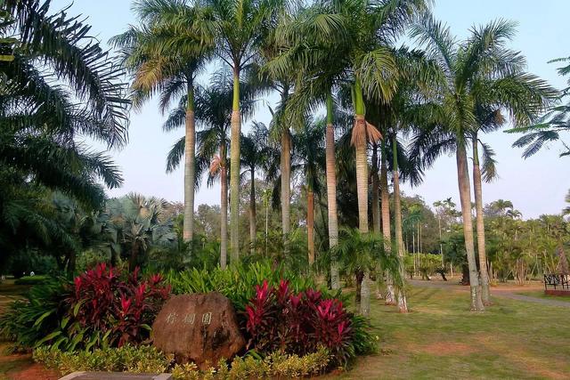 海口|海口人民公园|滨海公园_新浪新闻