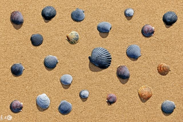 2018年乡镇农村教师会大幅涨工资