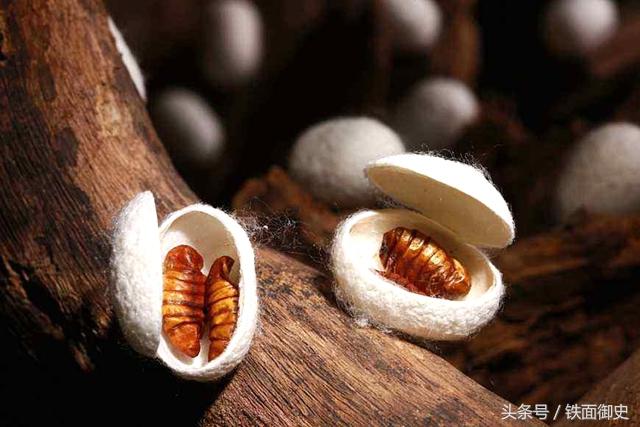 胡雪岩蚕丝贸易战遭惨败的原因勿把赌气当争气