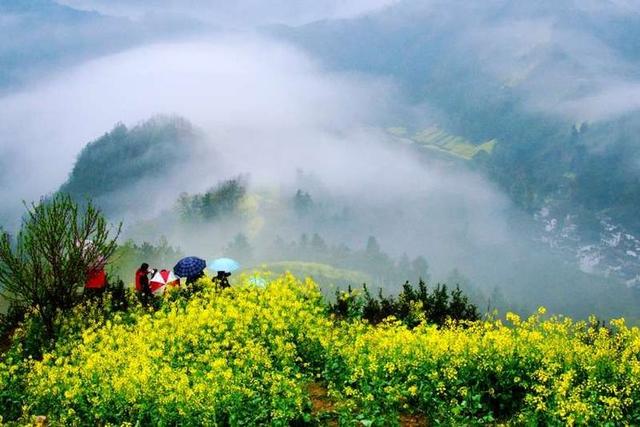 春节到春色来,油画的风格国画的意境,各地最美春天风景