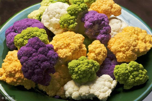菜花黄了还能吃吗 新浪网