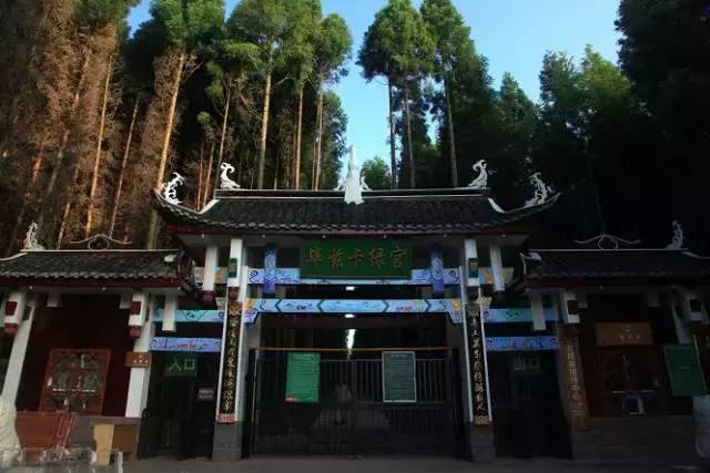 赏春正当时,愿君莫辜负