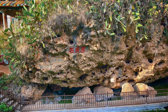 带着种种疑问,我来到了江川县城北部的界鱼石公园.