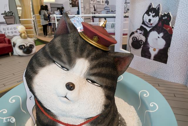 铲屎官穿越,竟然见到喵皇,笑晕在宫厕