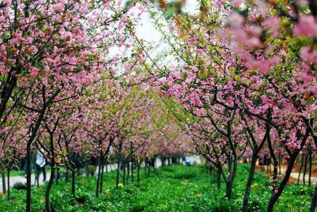 南昌南面——八大山人館,鳳凰溝,厚田沙漠