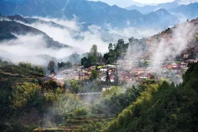 松阳|摄影|茶园_新浪新闻