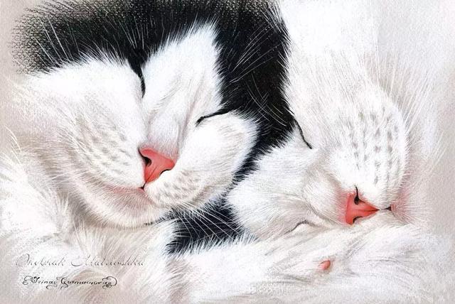 把猫画成这样也没谁了|艺术家|猫|猫科_新浪新闻