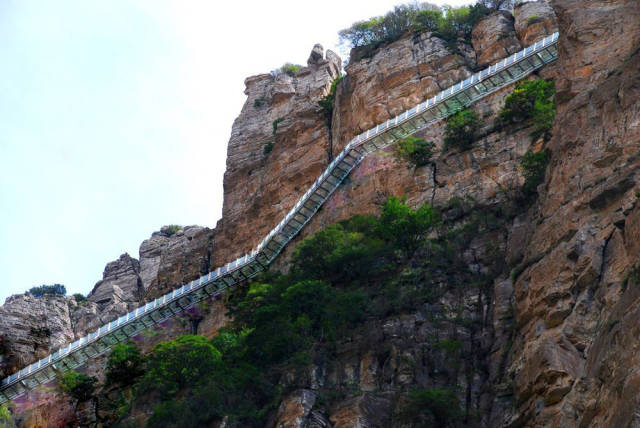 十二星座走玻璃栈道时的表现