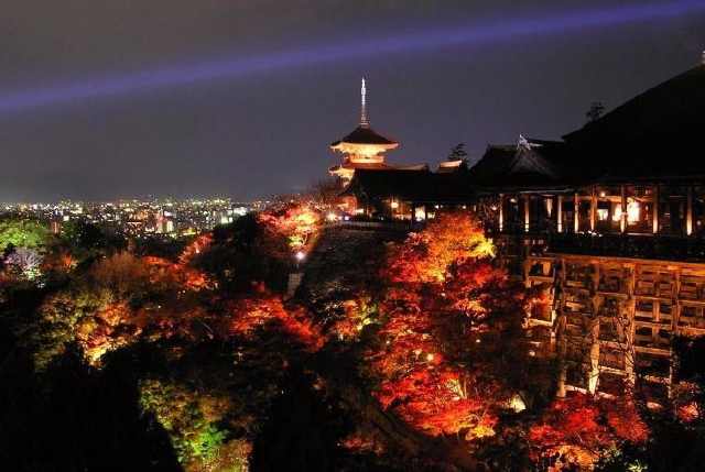 这个小城市就是奈良县,没听说过吧,奈良位于大阪和京都中间,面积约为