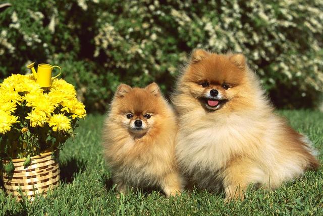 开元棋牌- 开元棋牌官网 - 开元棋牌APP下载图片新闻-太平洋汽车网-汽车动态汽车新闻