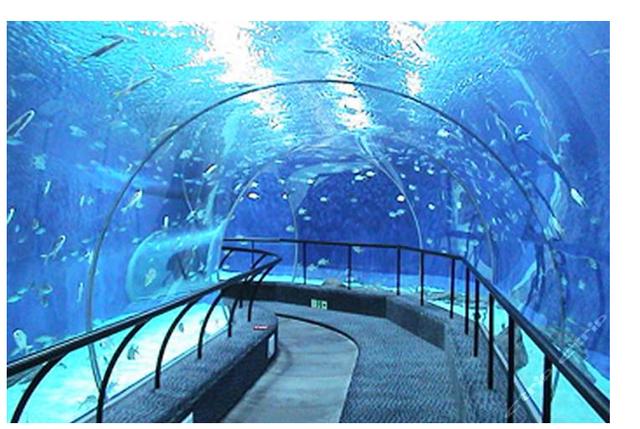 深圳海洋世界,为你探秘海底的丰富多彩