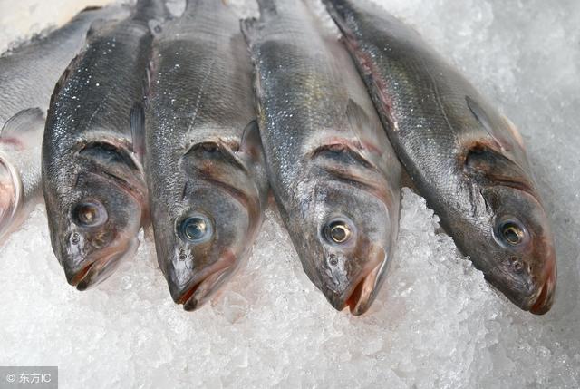 刚买回的冷冻鱼或刚从冰箱中拿出的冻鱼,烹饪前需要解冻