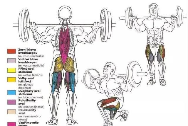 附身腿弯举▼哈克深蹲▼坐姿提踵▼坐姿腿弯举▼坐姿腿屈伸▼很难找到