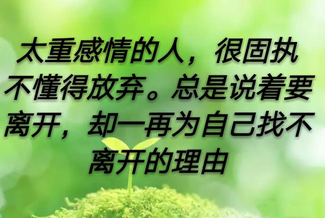 重感情的人伤得最深其实也是最幸福的人