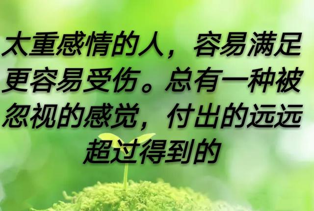 重感情的人,伤得最深,其实也是最幸福的人