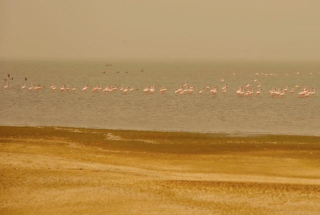 毛里塔尼亚到塞内加尔,陆路免签