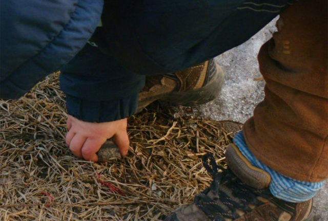 宝宝对细小物品特别的感兴趣,什么都要捡起来,怎么破?