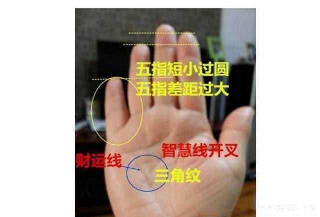 玉阶纹:像梯子一样的符号,有的上窄下宽有的上宽下窄,形状不一,一般