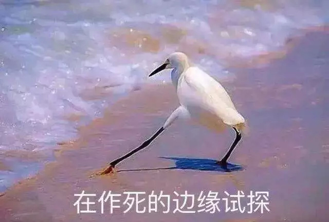 又是一道送命题过年回谁家看完这篇心里就舒服了