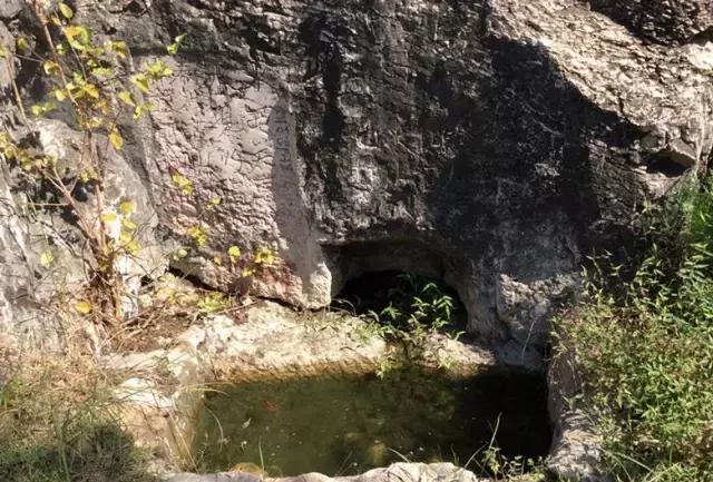 据说嘉祥萌山"山泉水泡山菊花能治好老人眼疾"