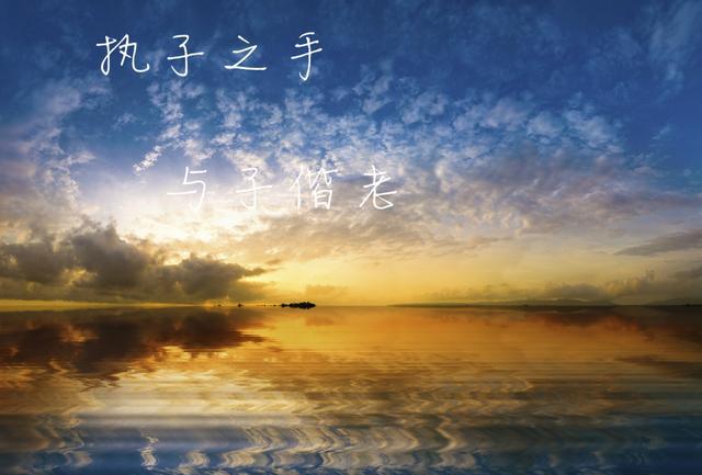 唯美抒情诗词 之二