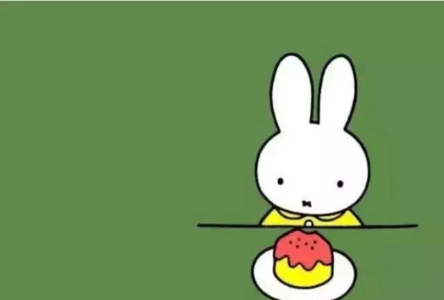 这只荷兰国宝miffy米菲兔的来历