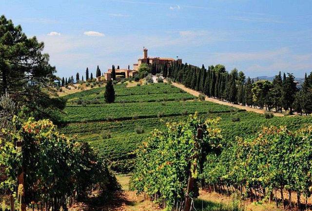 对于意大利有名的酒庄你知道几个?