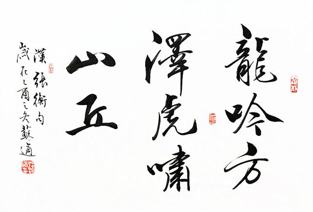 原北京书协秘书长苏适,6岁习字,书作端庄秀美,雅俗共赏!