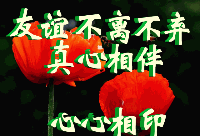 心会跟爱一路走,等你,爱你!