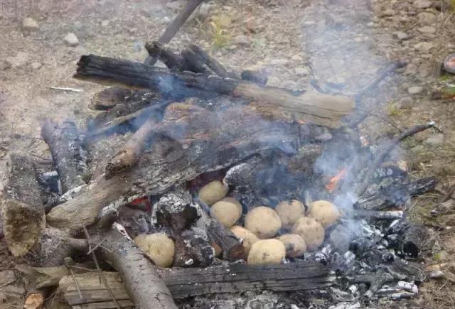 农村娃儿边耍的时候喜欢生个火到别人田头偷几个洋芋埋到火堆里烤烤熟
