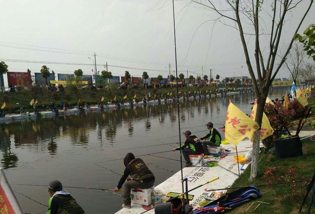 二师兄谈钓鱼,赛后解读泰隆杯