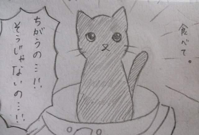 猫的报恩?猫奴说肚子饿,猫就自己跑到锅子里