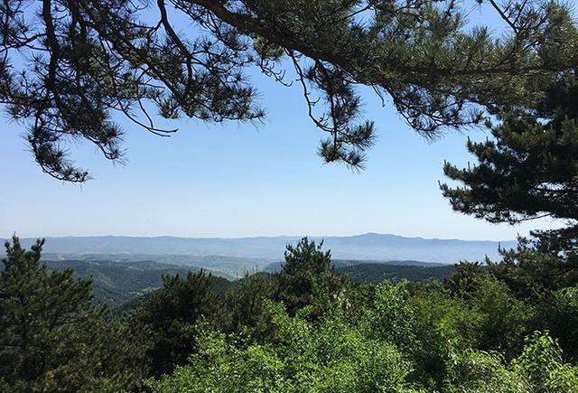 国庆旅游哪里去?就去安泽 青松岭!