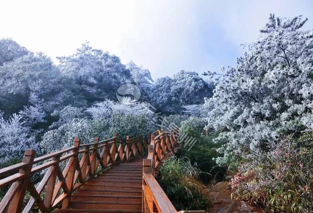 泉州九仙山下雪图片