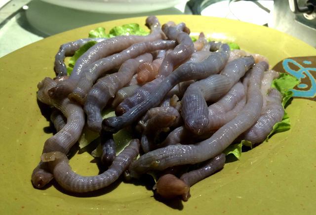 海地龙 好吃的停不下来