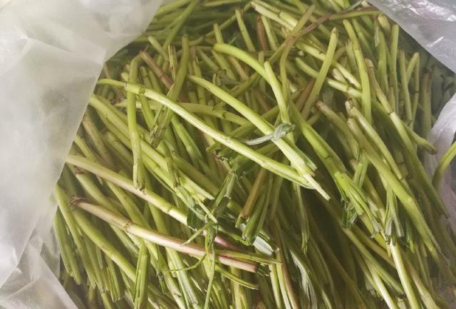 大多数的柳蒿是成片生长的.所以,用不了多大的地方就能采很多.