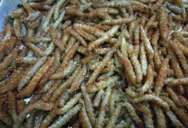 农村竹子里长出的蛆竟卖上百元,被云南人视为冬虫夏草!