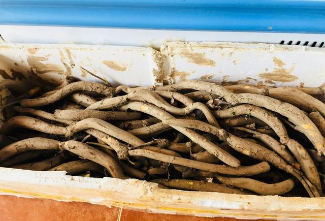 4人吃五个菜不到200块,后湖的野藕汤不发胖,舌尖上的武汉