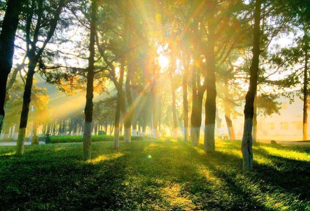 你是我今生永远的牵挂|天亮了|肉身|白玉_新浪新闻