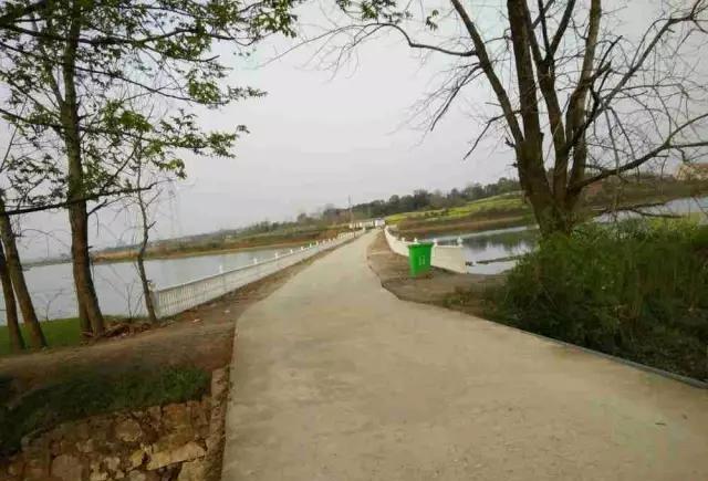 陈德荣村近年来的建设,使乡村面貌焕然一新,到处可见新面貌,新气象,新