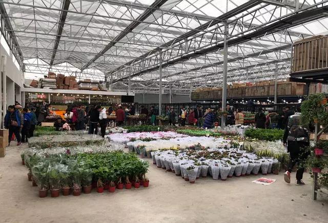 重庆这个新花市开业了种类多品相好价格也美好