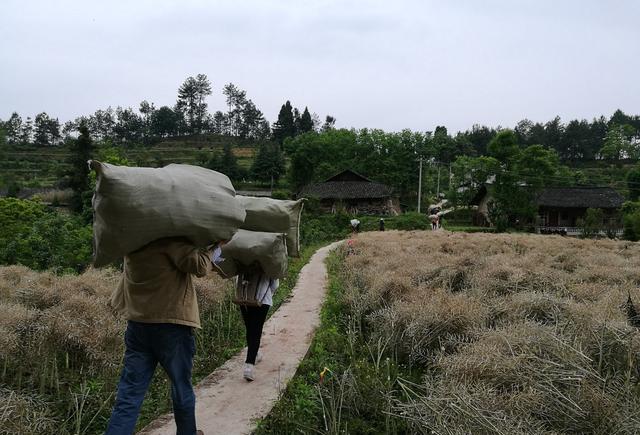 近距离观察一场贵州农村白事