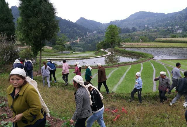 近距离观察一场贵州农村白事