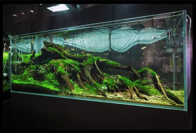 普通的材料≠普通的造景