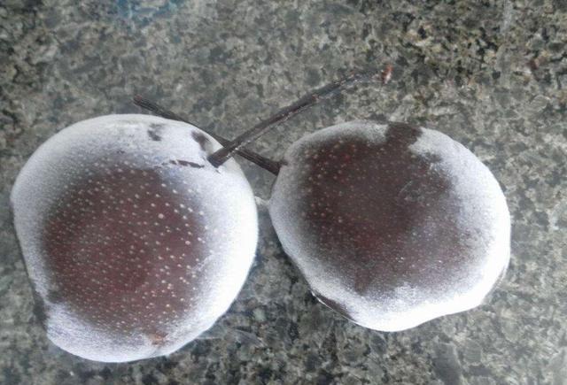 这种梨是北方特产,颜色乌黑又多汁解酒解油腻!南方基本吃不到!