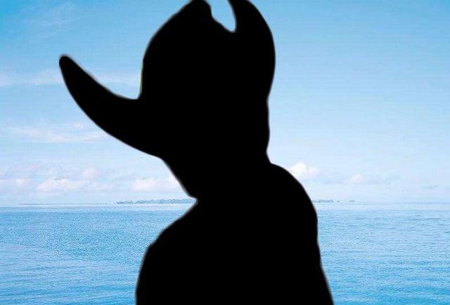 看图猜奥特曼 难度升级 能看的准的是真爱