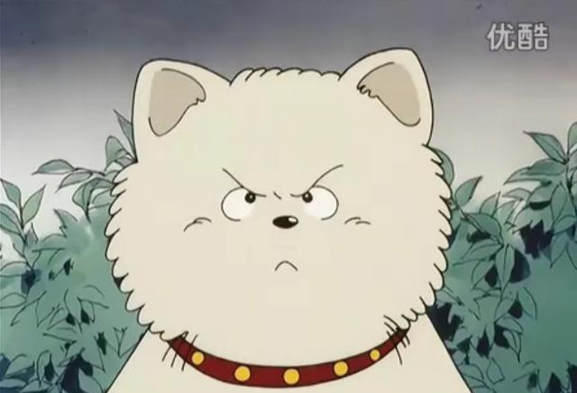 过七夕二次元的单身狗你惹不起二次元萌狗大暴走