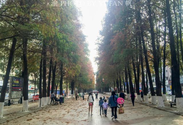 北京有条长安街,长安有条长青路,去过的人都会竖起大拇指