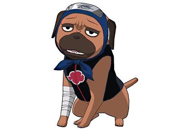 晓之丧彪:忍犬帕克